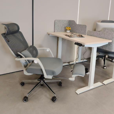 Aoteng Height Adjustable Desk